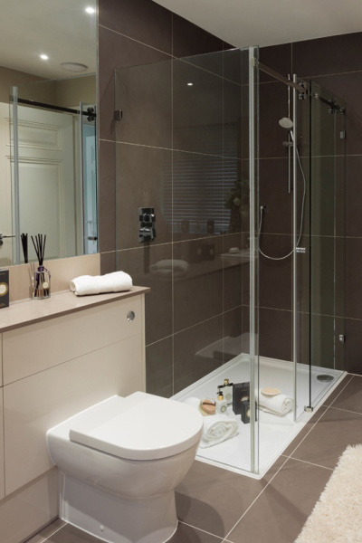 accessible frameless shower